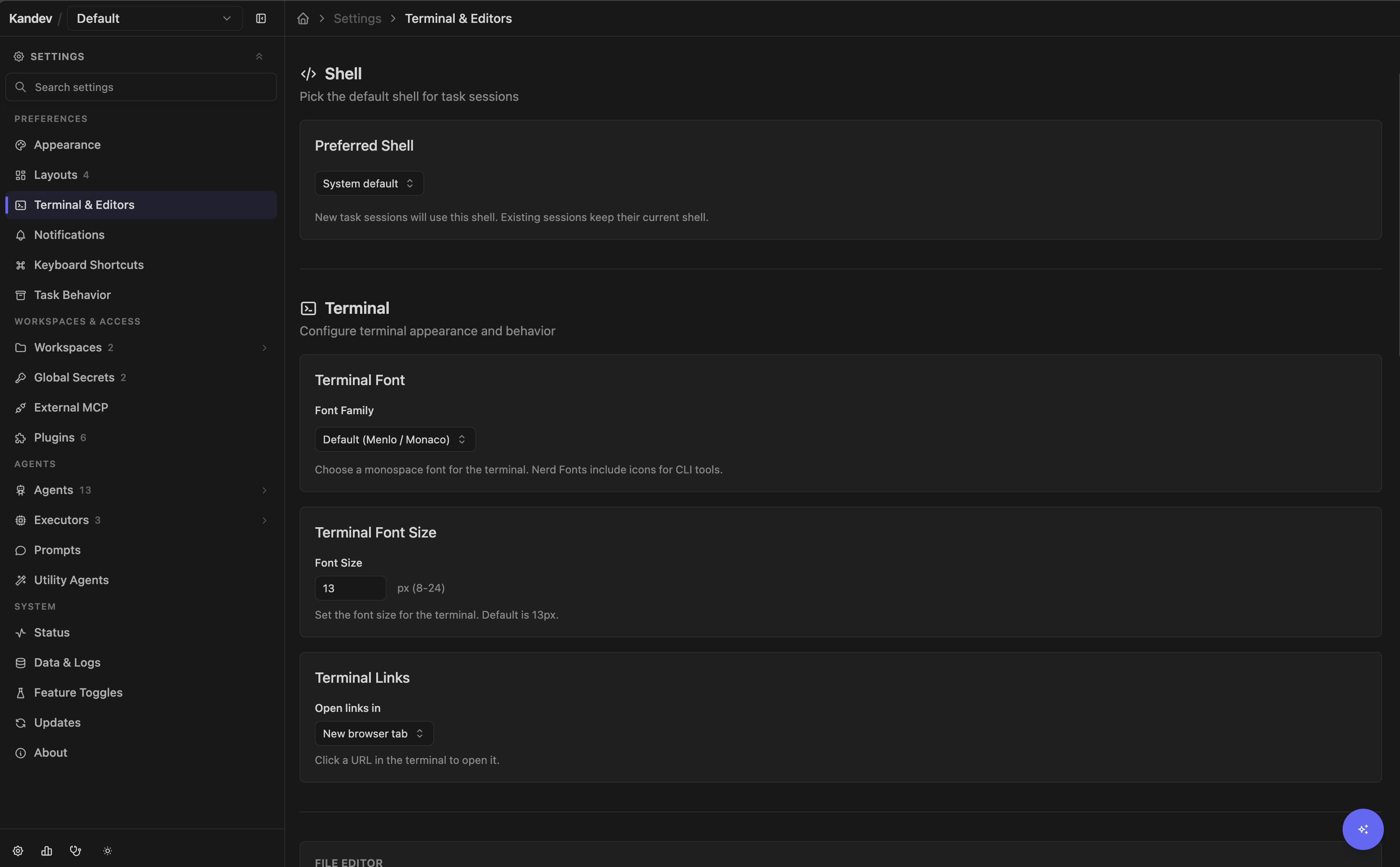 Settings > Preferences > Terminal & Editors showing shell, terminal font, font size, and link settings.